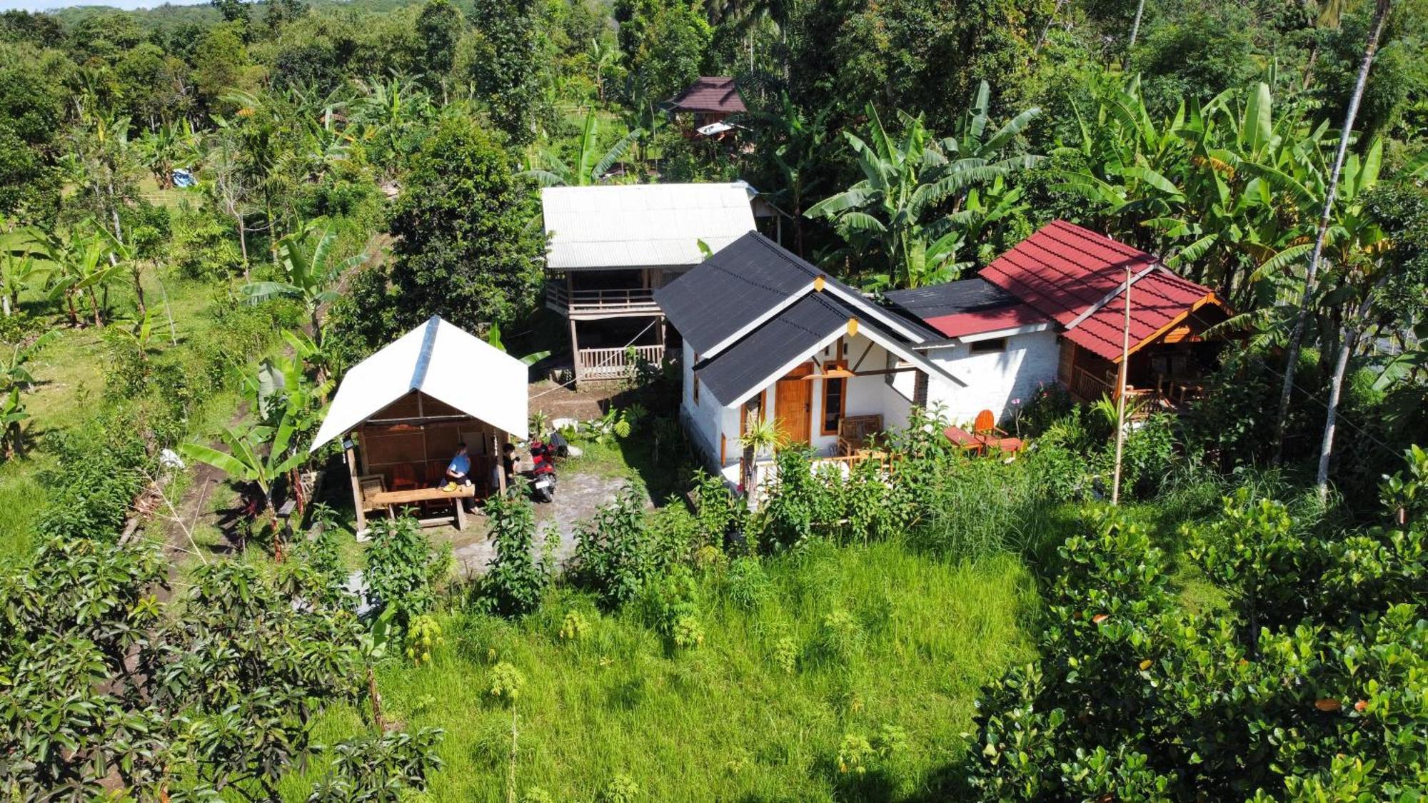 Asan Rinjani Homestay Tetebatu Habitación foto