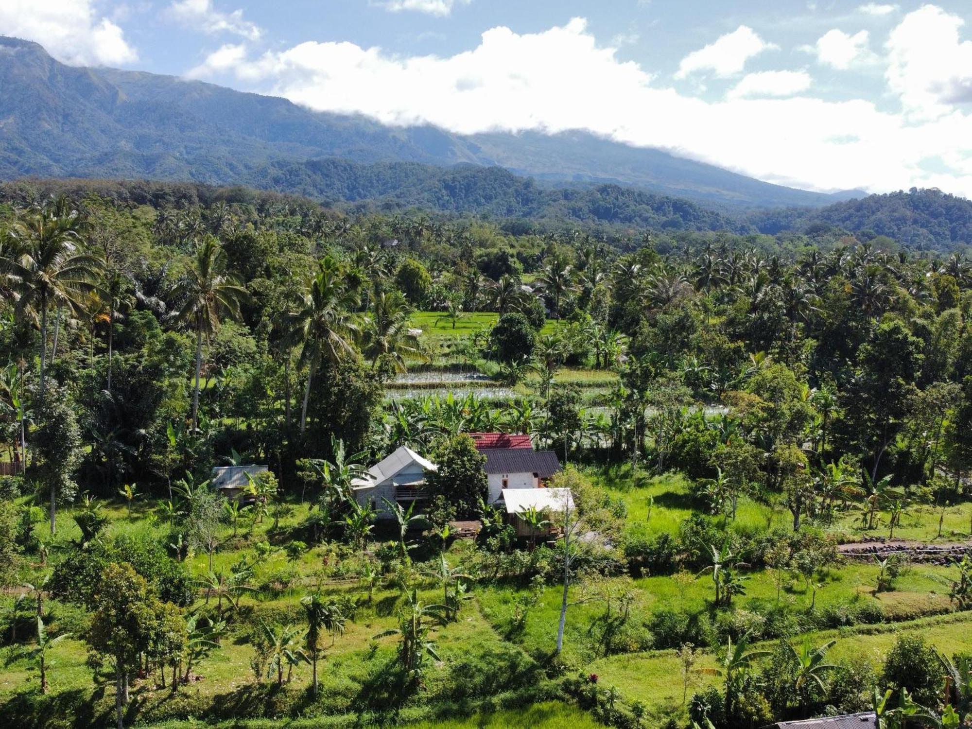 Asan Rinjani Homestay Tetebatu Habitación foto